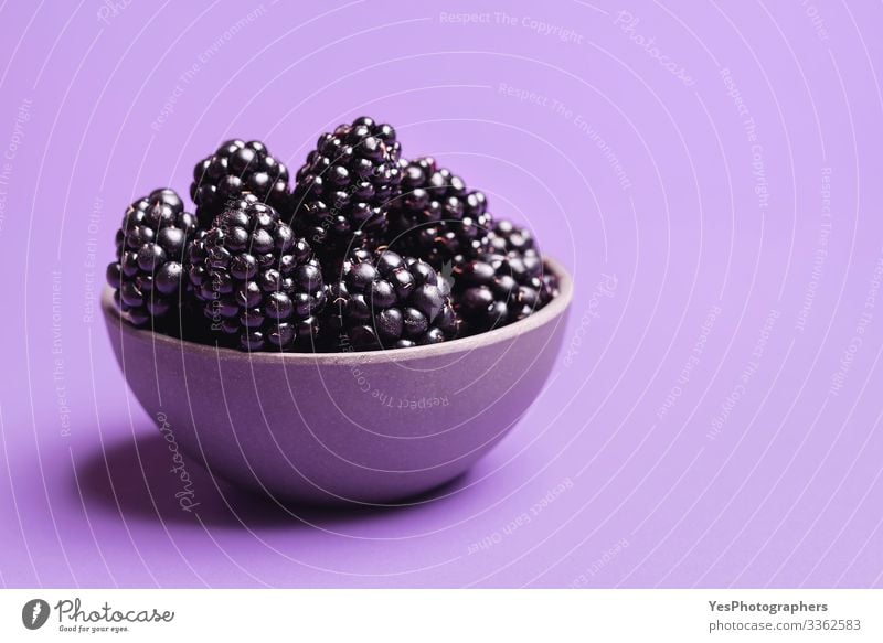 Blackberries in a bowl on purple background Fruit Dessert Organic produce Delicious Natural Berries Blackberry blackberry fruits bowl of blackberries colorful