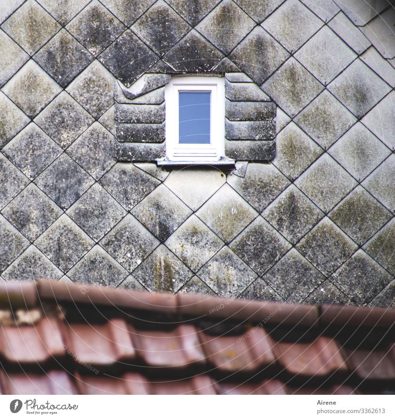 sort of fits Town Old town House (Residential Structure) Facade Window Roof Cladding Slate Tiled roof Hollow Diminutive Hint Fraud Shutter Exceptional Blue Gray
