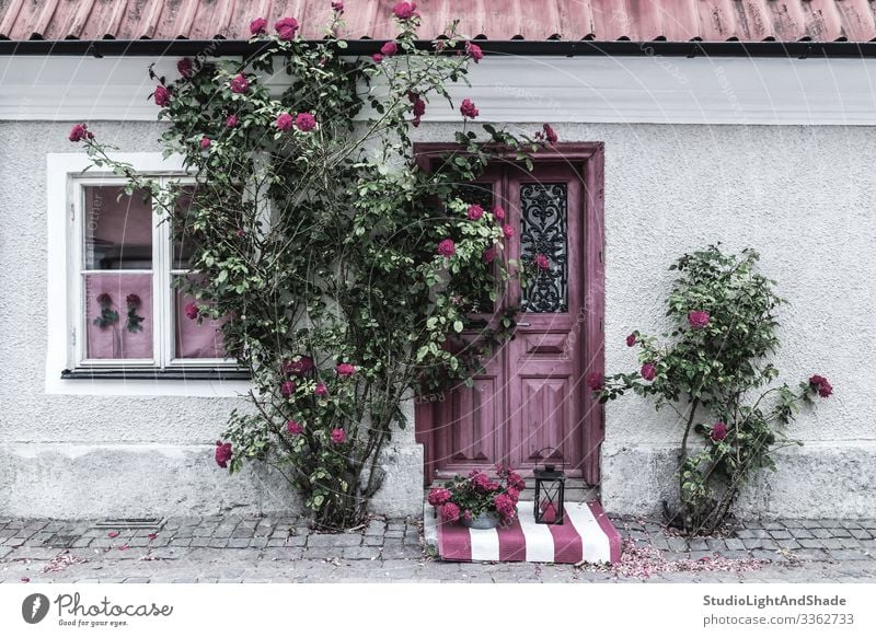 Picturesque house entrance decorated with roses Beautiful Summer House (Residential Structure) Garden Gardening Flower Rose Village Town Building Architecture