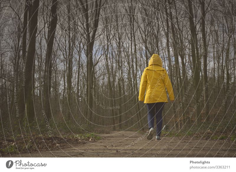 Where are you going? Human being Feminine Woman Adults 1 45 - 60 years Environment Nature Landscape Winter Tree Field Forest Lanes & trails Rain jacket Movement