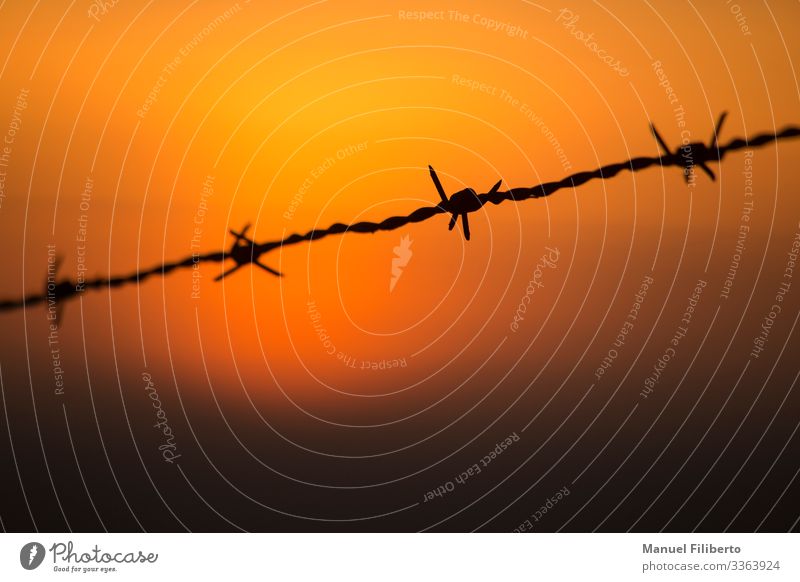 barbed wire in the light of a sunset Freedom Steel Safety Hope Dangerous Force Fear Stress Threat Concern Survive Distress Anger Destruction protect shine lines