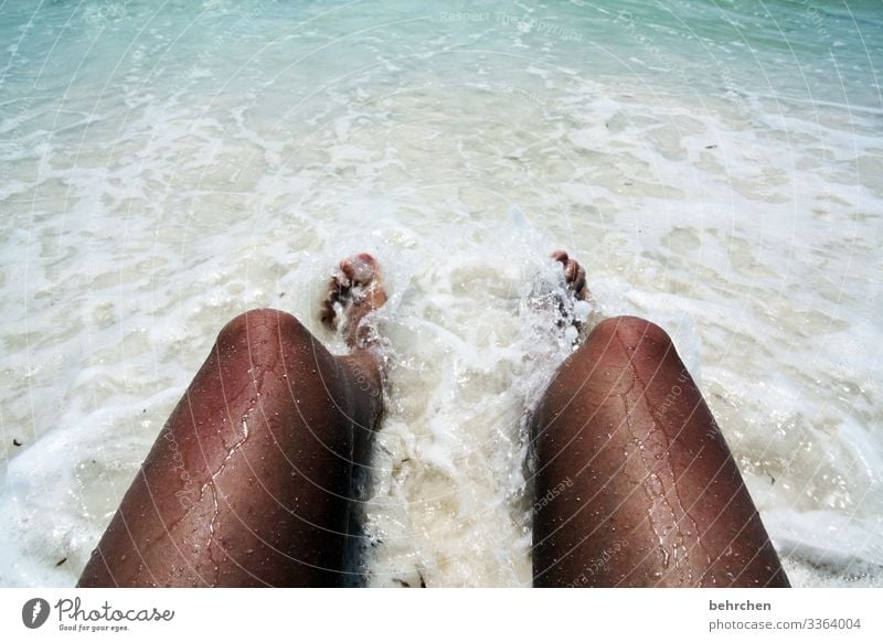 symmetry | parallel skin burn Day Barefoot Foot bath Sand Sandy beach Water To enjoy Swimming & Bathing La Digue Seychelles Indian Ocean Coast Beautiful weather