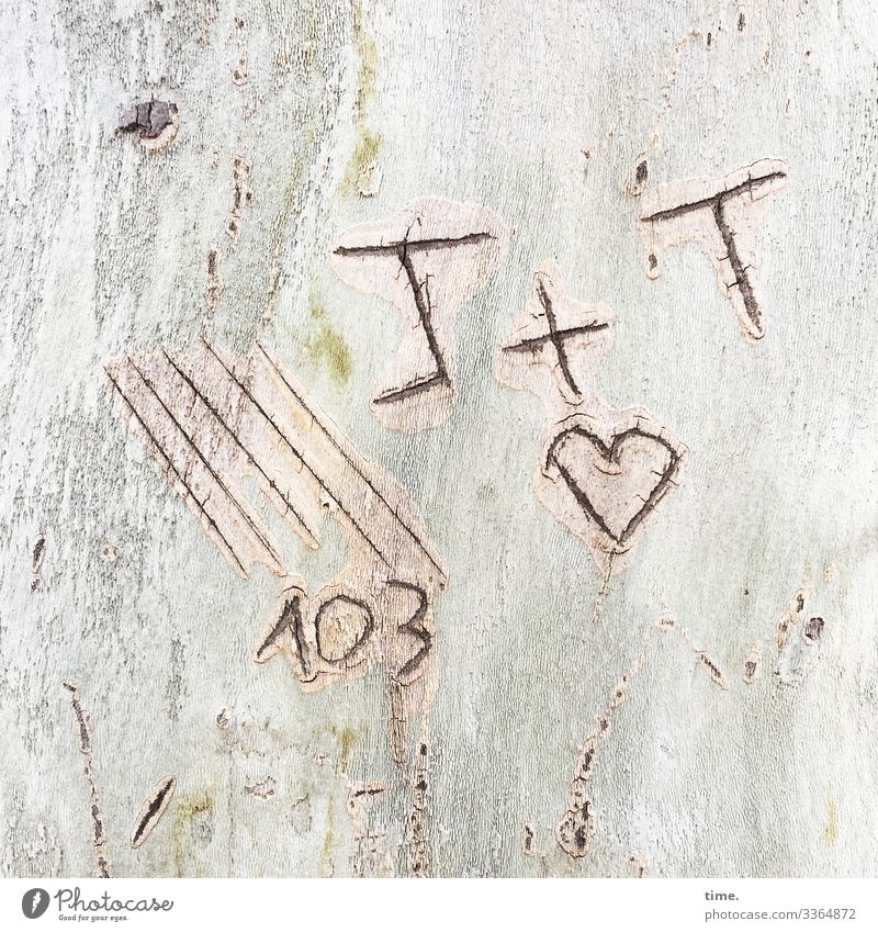 Secret code letter strokes Heart Tree bark Love daylight graffiti scratched 103 plus sign Plus addition In love Romance secret embassy Irritation Puzzle