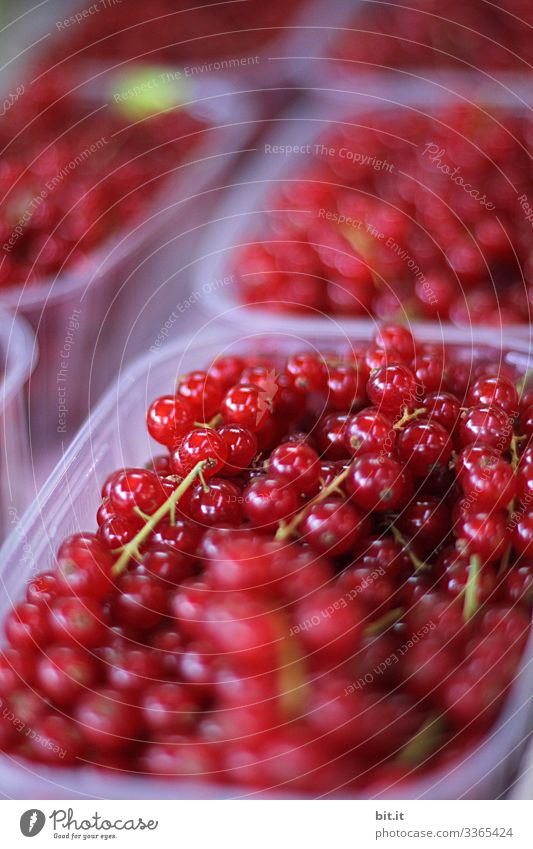 Health l fresh currants Berries Redcurrant fruit Food Nutrition Delicious Summer Healthy Eating Vegetarian diet Organic produce Nature Fresh Sour Diet Juicy