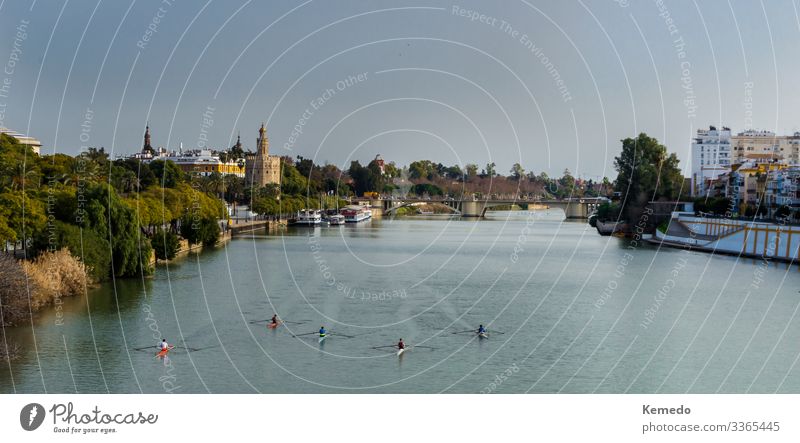 View of Golden Tower and Guadalquivir river, Seville, Spain. Lifestyle Healthy Health care Athletic Wellness Harmonious Relaxation Leisure and hobbies