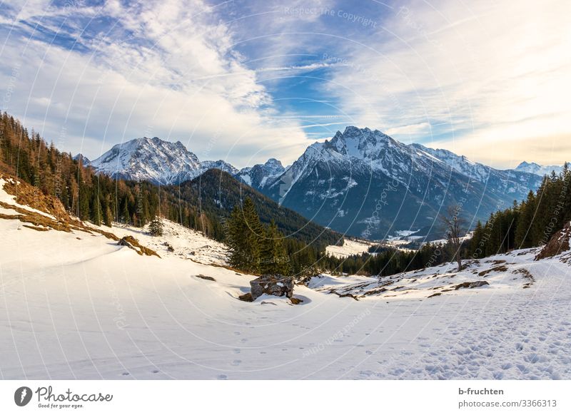 Berchtesgaden Alps Leisure and hobbies Vacation & Travel Tourism Adventure Far-off places Freedom Mountain Hiking Nature Landscape Winter Peak Snowcapped peak