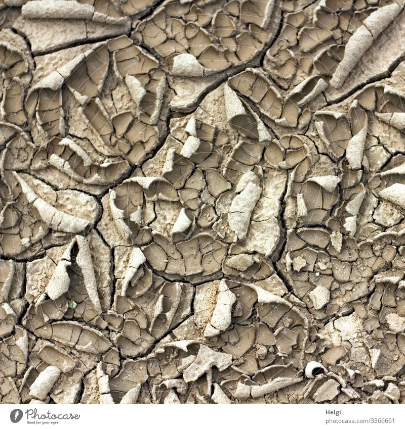 Dry soil with cracks and crusts, caused by climate change with extreme drought Ground Drought aridity Climate change ardor Environment Nature Earth