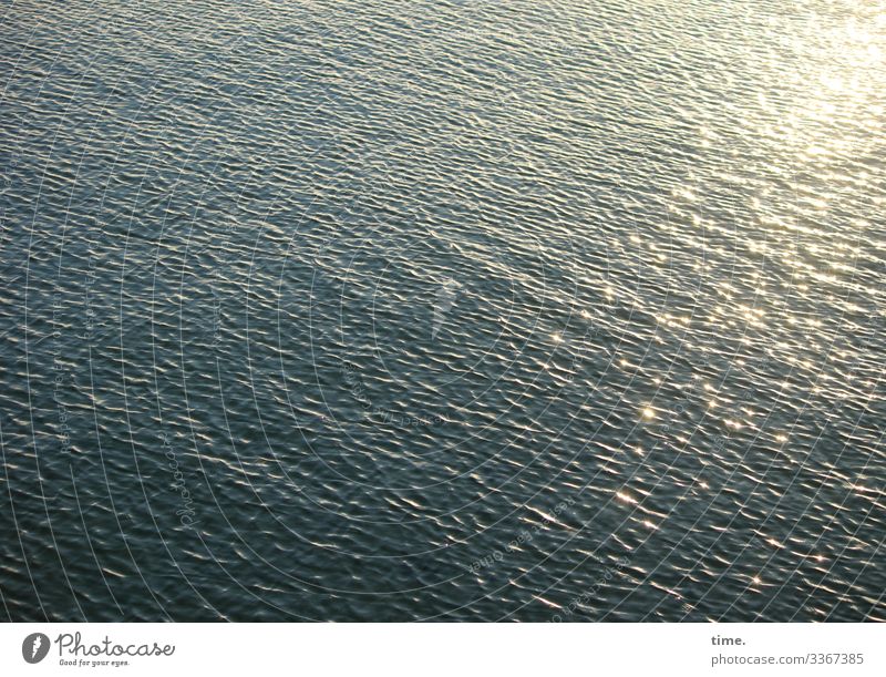 squint into the glitter Ocean Water Waves Back-light Sunlight reflection Calm silent Peaceful daylight far Inspiration Surface Wet Damp Environment Maritime