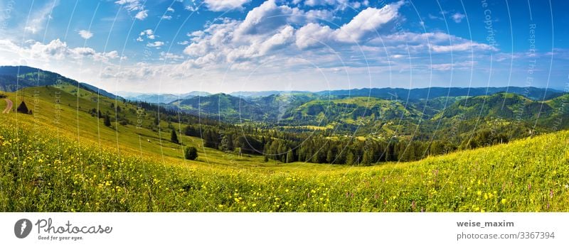 Sunny day panorama of mountain meadow summer mountains sunlight clouds ecology hill valley road picturesque countryside green village rural journey scenery