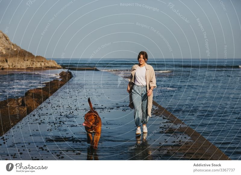 Woman with dog walking along wet pier against calm sea water and rocky coast in sunny day woman companion fresh pet ocean spain tranquil mastiff owner beach
