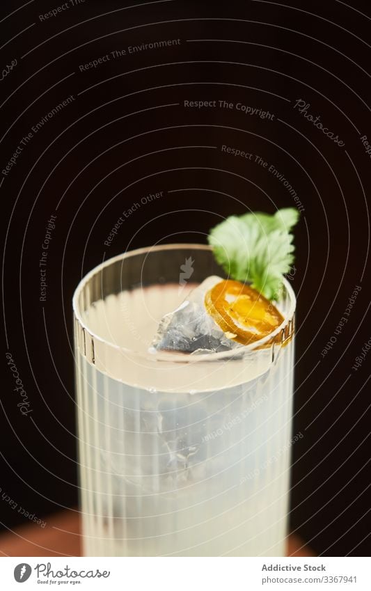 Glass of alcohol drink with tonic cocktail classic glass vodka gin highball beverage bar white luxury aperitif lemon traditional fresh liquid mixed citrus