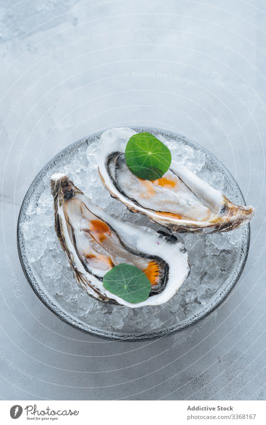 Oysters on a bowl with ice cubes oysters eat restaurant table clam seafood exquisite delicious tasty yummy palatable delectable savory dish meal luxury