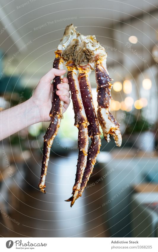 Crop person showing king crab legs restaurant boiled portion seafood luxury exquisite waiter demonstrate tasty delicious yummy prepared ingredient delectable
