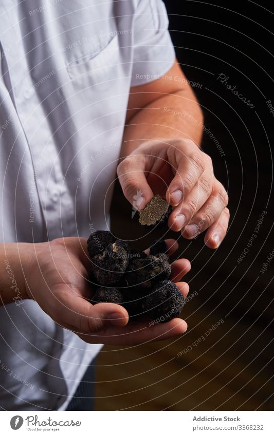 Crop chef showing fresh truffles ingredient handful preparation cook cuisine man food luxury exquisite meal expensive gourmet lunch dinner whole black