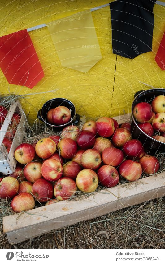 Mature apples in boxes and buckets marketplace fresh fruit stall shop mature harvest healthy organic diet colorful meal meat huddle rustic rural nature plant