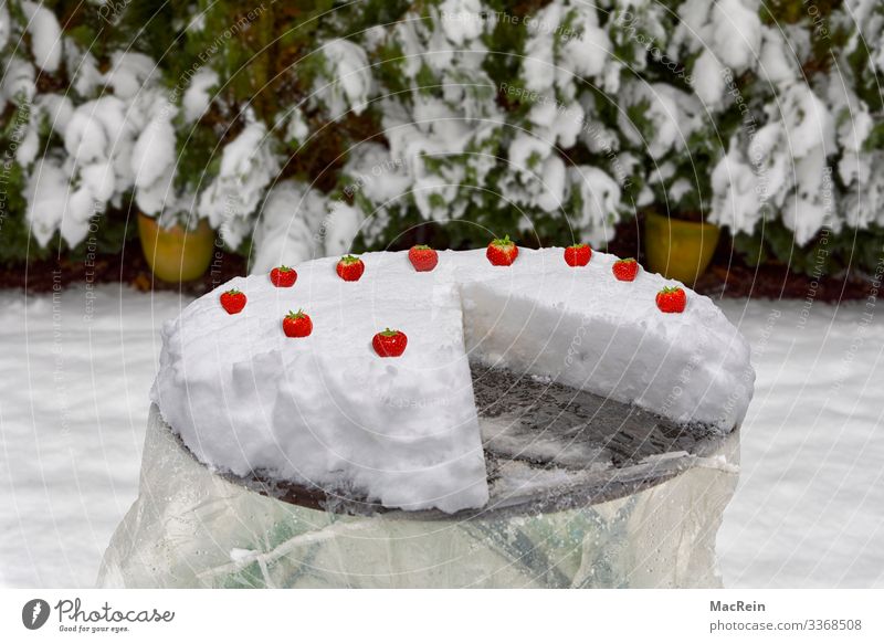 Ice cream cake Cake Winter Snow Table Red White Strawberry Strawberry pie Gateau Symbols and metaphors Deserted Copy Space Frozen Colour photo Exterior shot