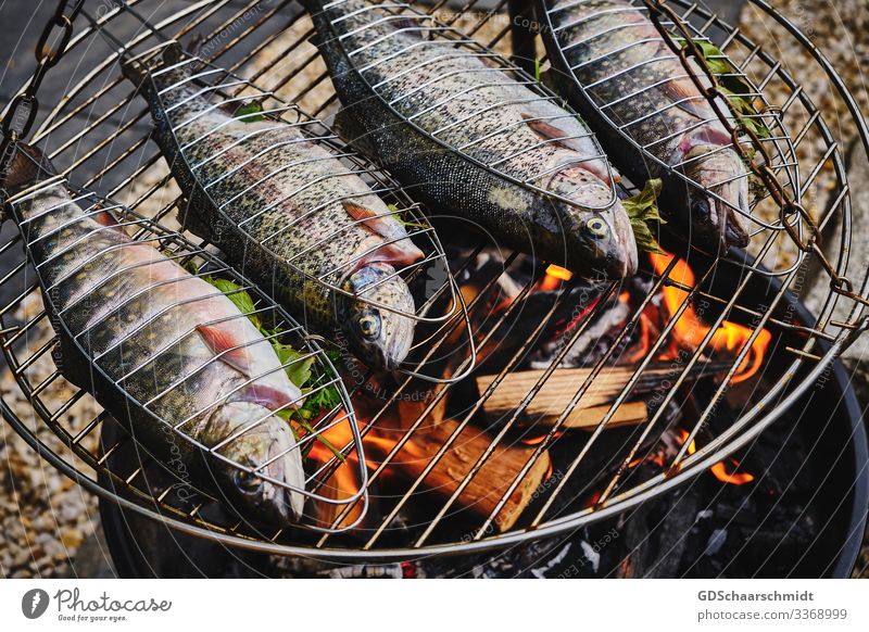Delicious fish Nature Fire Water Garden Barbecue (apparatus) Wood Smoke Fragrance Eating Catch Healthy Natural Juicy Silver Purity Fishing (Angle) Trout