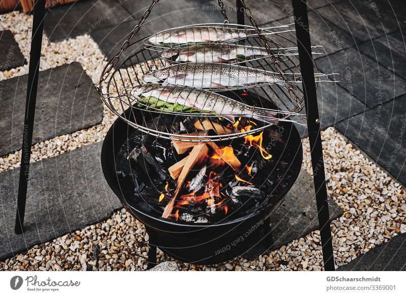 Grilled trout Fish Eating Vegetarian diet Camping Summer Garden Environment Nature Water Pond Barbecue (apparatus) Stone Wood Smoke Diet Rotate Fragrance