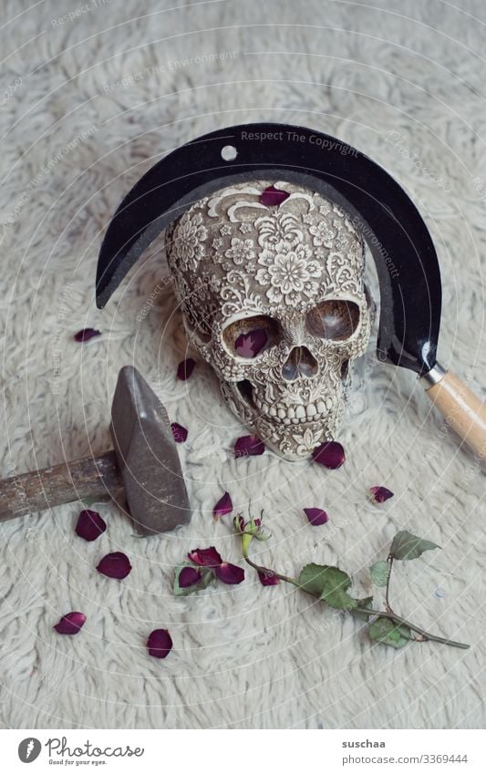 skull with sickle and rose leaves on flokati Death's head Skeleton Creepy Force policy Revolution Photochallenge Eerie Hallowe'en Weapon Tool tart peak Harm
