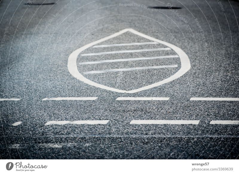 Asphalted roadway with marked barrier area Street Traffic lane Transport Traffic infrastructure Lane markings Lanes & trails Deserted Exterior shot Colour photo