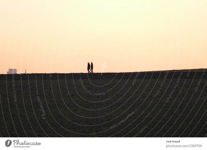 2 persons in profile during an evening walk in the sunset - horizon in the middle of the picture - 2 colour areas Human being Friendship Couple Landscape