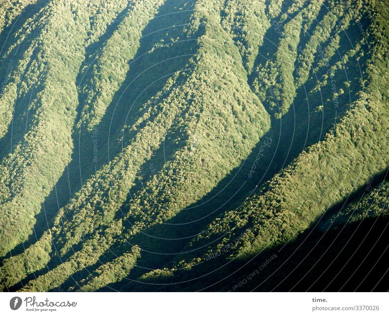 folding forest Forest Italy Bird's-eye view mountain mountains Sunlight Shadow Green