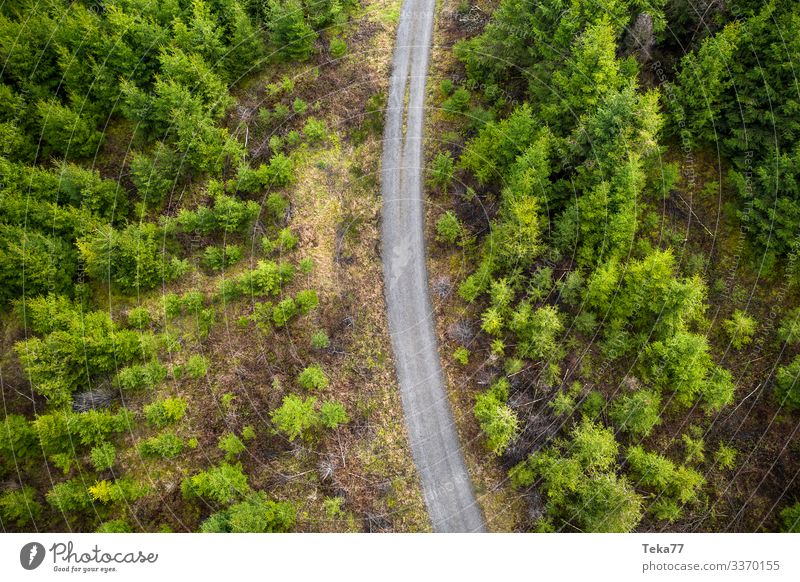 #Wood path from above Winter Environment Nature Landscape Plant Forest Esthetic Footpath Hiking Coniferous forest Colour photo Exterior shot Aerial photograph