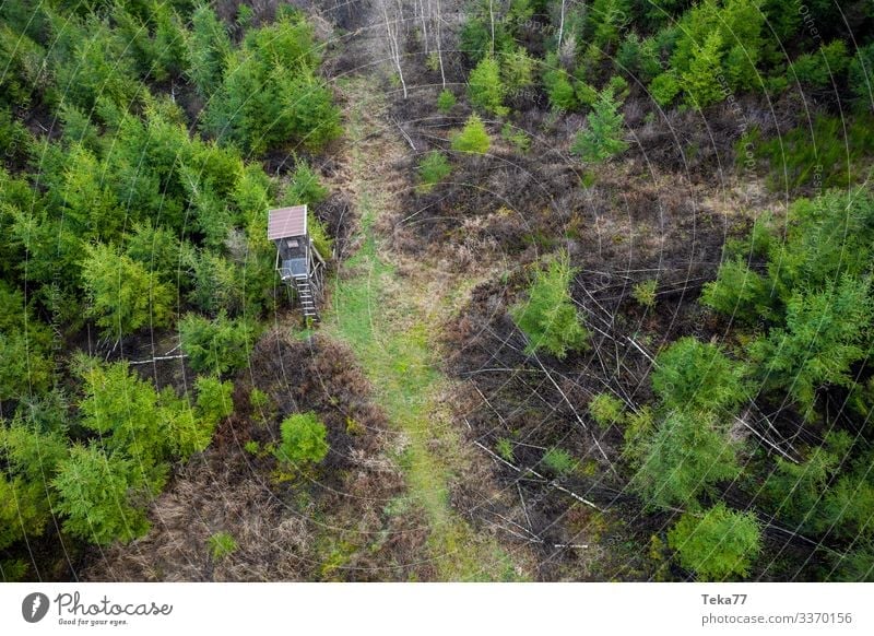 #High seat in the forest from above Winter Environment Nature Landscape Field Forest Esthetic Hunting Animal Hunting Blind Aerial photograph Colour photo