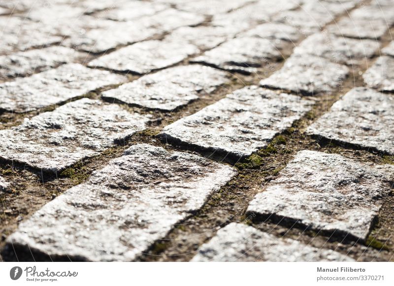 stone pavement with selective blurring Old town Footwear Historic Sustainability Gold Silver White Might Authentic Endurance Unwavering Loneliness Beginning