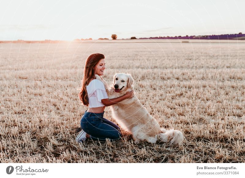 young woman in a yellow field with her golden retriever dog at sunset. Pets outdoors pet countryside walking lifestyle pink happy training friendship park