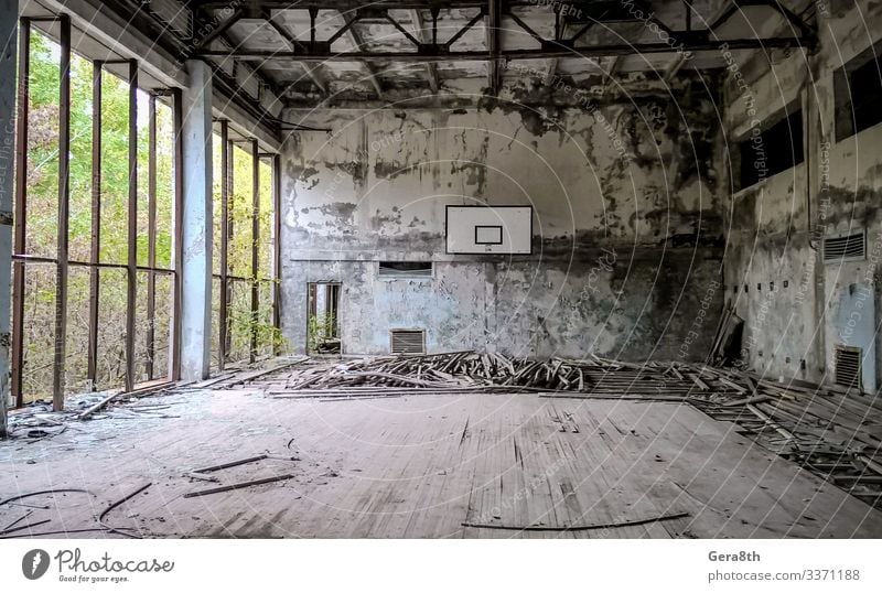 ruined gymnasium in an abandoned school in Chernobyl Plant Tree Old Dangerous Destruction abandoned city Game board contamination destroyed floor Ecological