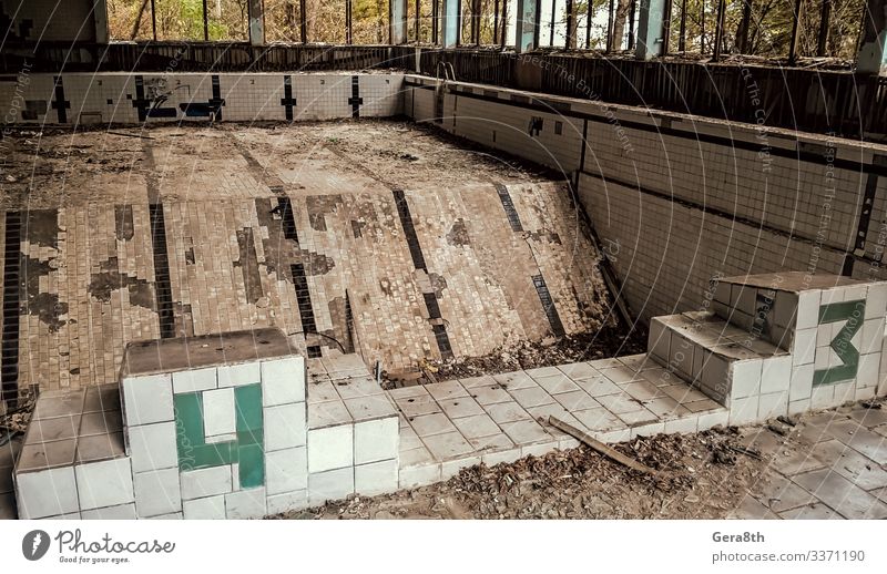 abandoned pool in Chernobyl Ukraine Swimming pool Plant Autumn Tree Leaf Old Acceptance Dangerous Environmental pollution Destruction accident broken
