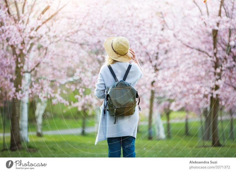 Beautiful woman in straw hat traveling in beautiful park with cherry trees in bloom, enjoying the nature in spring. Tourist with backpack. Rear view Adventure
