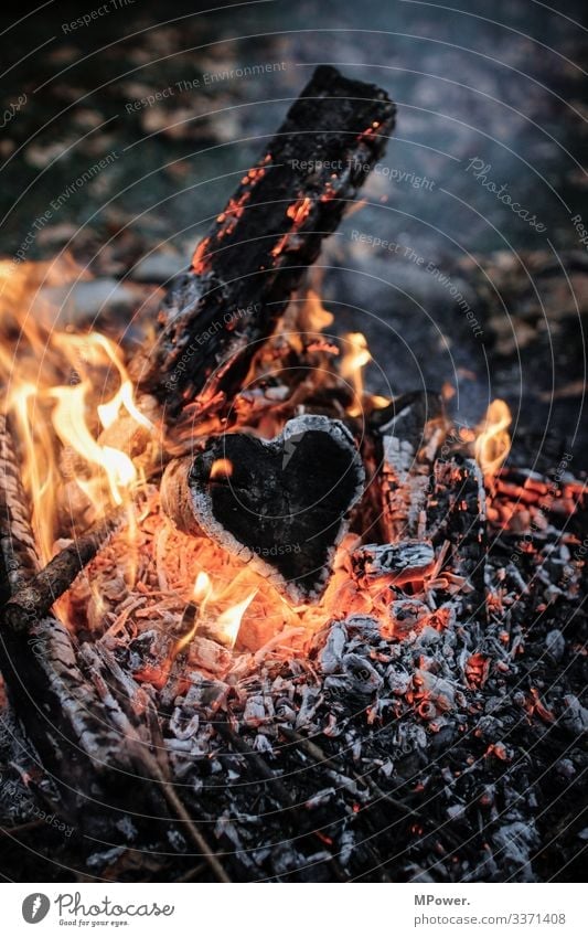 heart in flames Wood Love Fireplace Heart Flame Coal Hot Burn Romance Colour photo