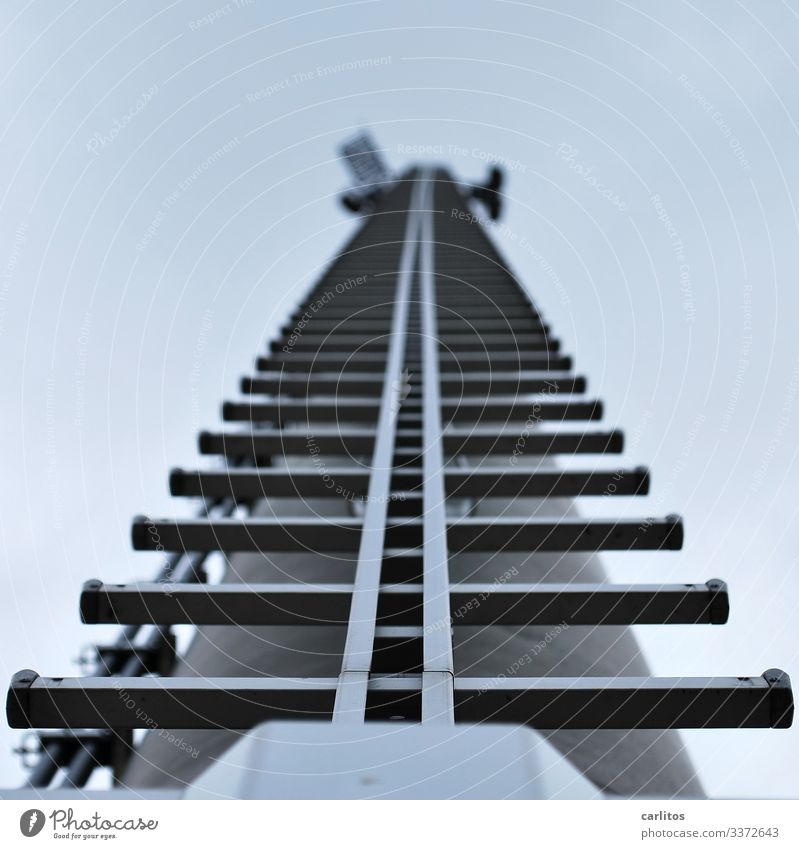 taken off | stairway to hessen Pole Electricity pylon Broadcasting tower Ladder Rung Worm's-eye view Go up Climbing Symmetry Gray Metal Threat Dangerous Risk