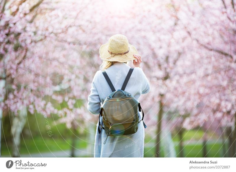 Woman in straw hat traveling in park with cherry trees Adventure Back Flower Blossom Cherry Discover Finland Garden Helsinki Japan Japanese Landscape Location