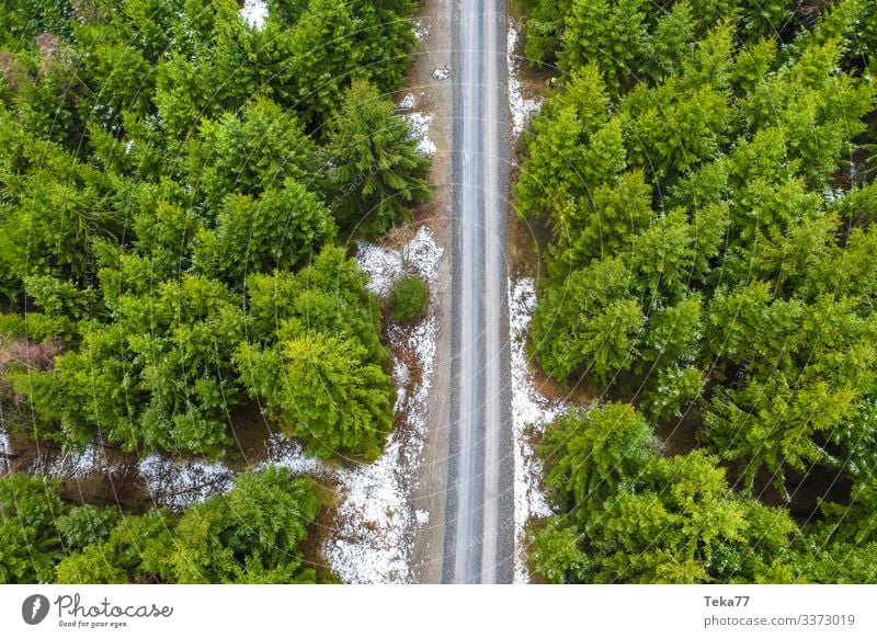#Wood path in winter from above Winter Environment Nature Landscape Forest Transport Traffic infrastructure Esthetic Footpath Colour photo Exterior shot