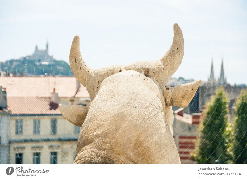 Stone bull sculpture outside the city of Marseille Animal portrait Contrast Shadow Light Day Neutral Background Colour photo Ancient Cultural monument Culture