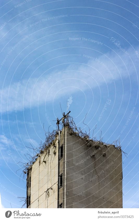 Air to the top | demolition house in nice weather outline construction Building Portrait format Abstract Architecture House (Residential Structure) Facade