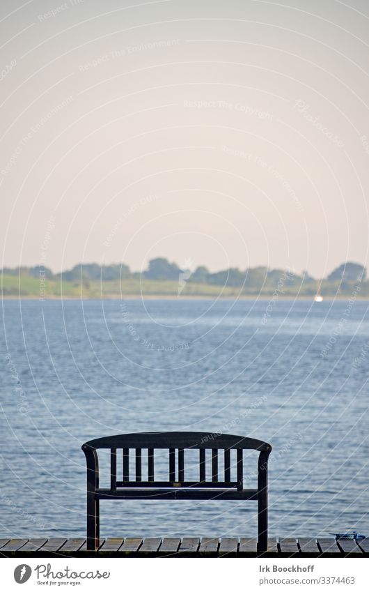 bench in front of water Rest tranquillity Bench Calm Relaxation Exterior shot Loneliness Nature Landscape Sit Deserted sad Wait Sadness Water Vacation & Travel