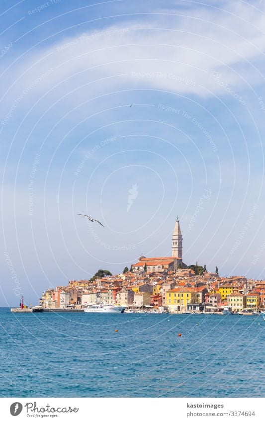 Panoramic view on old town Rovinj, Croatia. Vacation & Travel Tourism Summer Ocean Sky Clouds Coast Town Church Harbour Architecture Sailboat Watercraft