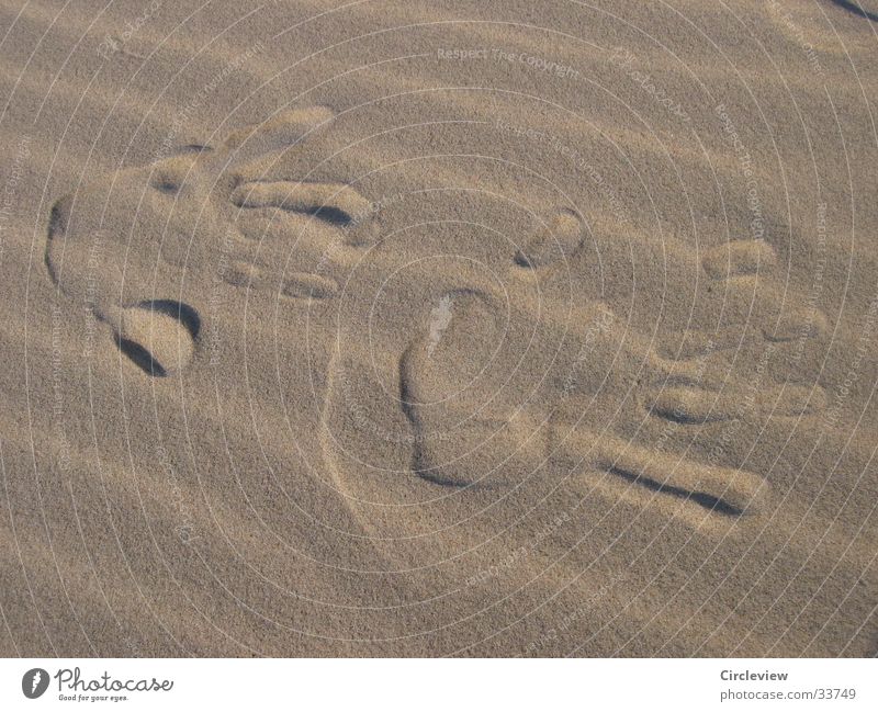 Walk of Fame at the Baltic Sea beach Beach Hand Impression Men`s hand Europe Beach dune Wind Sand Close-up Detail Desert Imprint