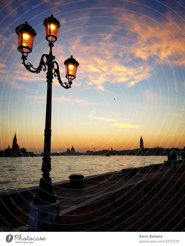 Sunset in Venice Style Vacation & Travel Tourism Freedom Sightseeing City trip Ocean Italy Town Port City Deserted Tower Tourist Attraction Basilica San Marco