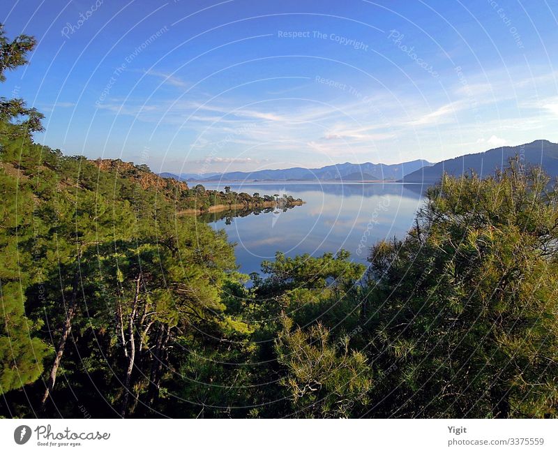 A Peaceful View From the Lakeshore Environment Nature Landscape Earth Air Water Sky Clouds Horizon Sunlight Spring Summer Weather Beautiful weather Plant Tree