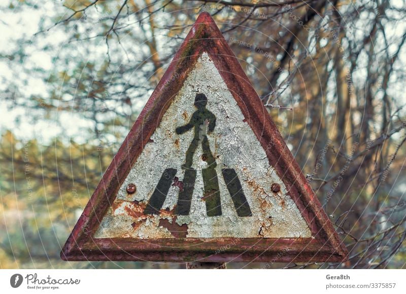 old road sign in Chernobyl closeup Vacation & Travel Tourism Trip Nature Plant Autumn Tree Pedestrian Street Metal Rust Old Threat Retro White Dangerous