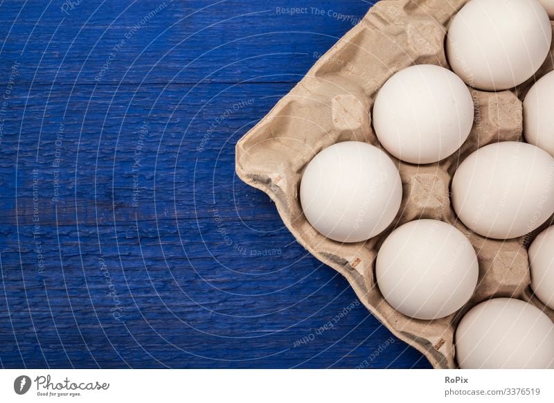 Fresh eggs in a cardbox tray on blue background. Food Egg Nutrition Eating Breakfast Lifestyle Design Healthy Healthy Eating Fitness Easter Education