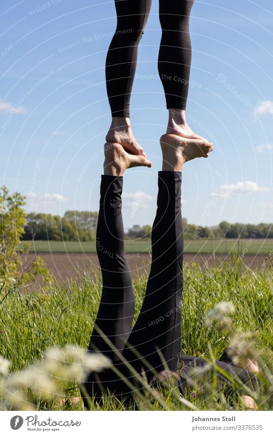 Acrobatics in the countryside Feet feet Legs Acroyoga Gymnastics balance Balance Circus Artists Sky Field Environment Ease Trust Foot-to-Foot flyers base Toes