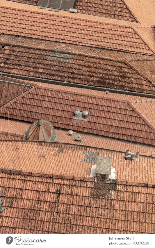 Umbrella organisation Tiled roof roofs brick houses Town settlement Chimney Bird's-eye view Porto Looking Vantage point Roofer texture Pattern Red Orange Loam
