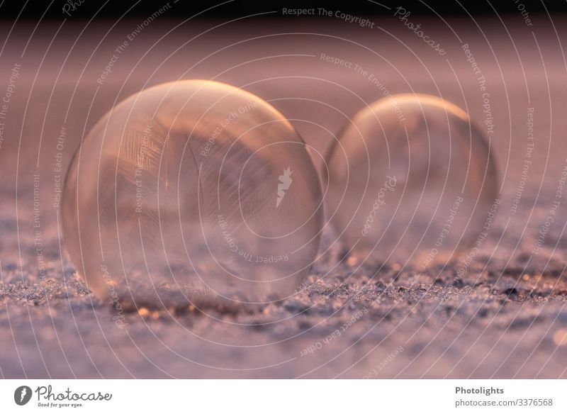 Soap bubbles - frozen Environment Nature Air Winter Ice Frost Snow Freeze Fresh Cold Brown Yellow Gold Violet Pink Black Silver White Blow Frozen 2 Pattern