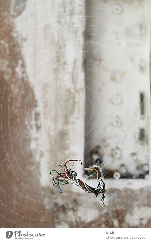 Colorful cables, bare, uninsulated, protrude from cable conduit, from the white, gray wall, unplastered, on a construction site of a house / building. Cable